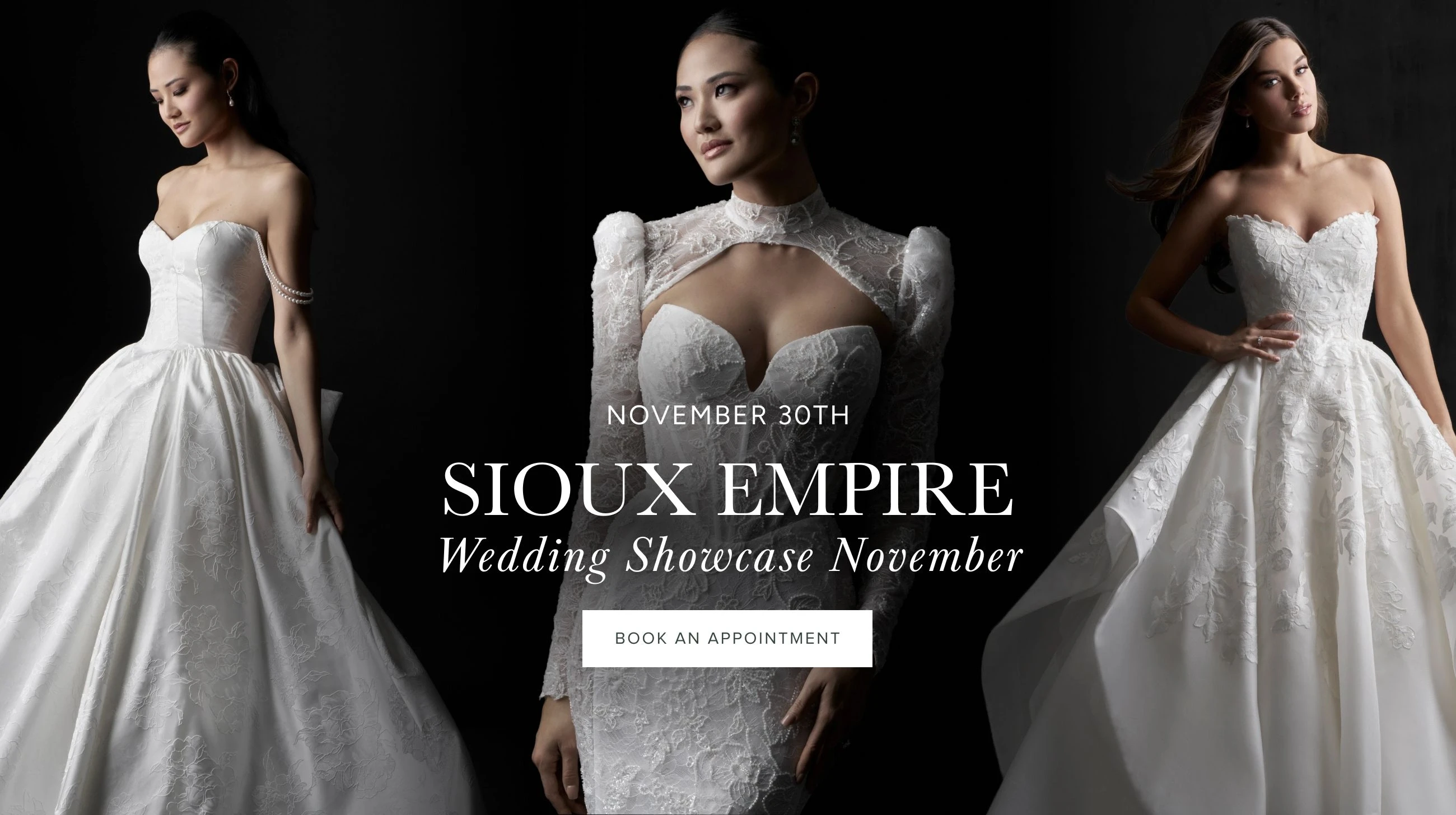 Models wearing bridal gowns, sioux empire desktop banner